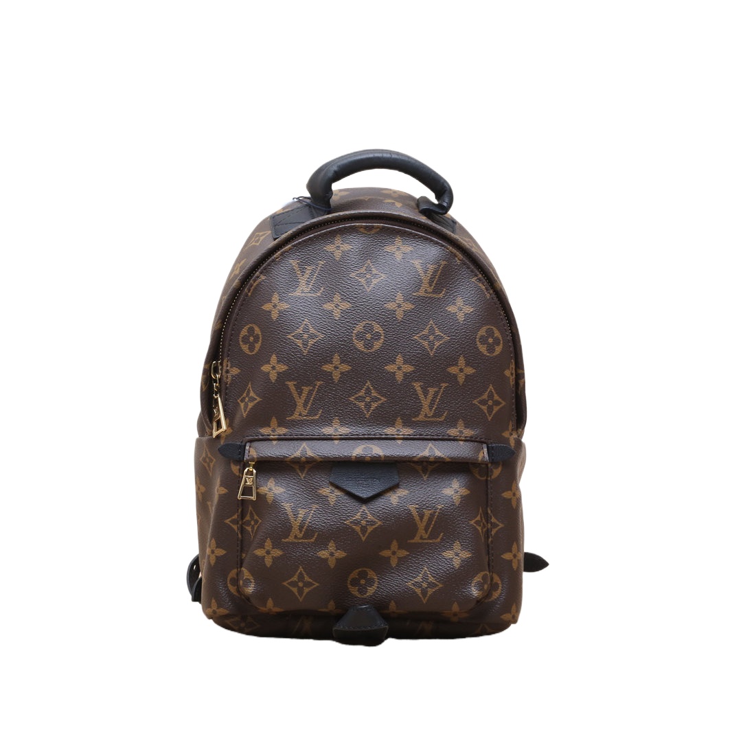 LOUIS VUITTON Palm Springs Mini Backpack 22 in PVC