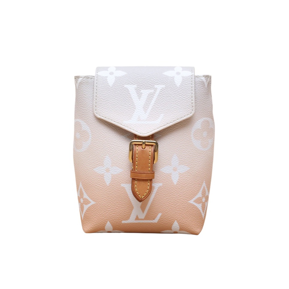 LOUIS VUITTON Tiny Backpack in Leather