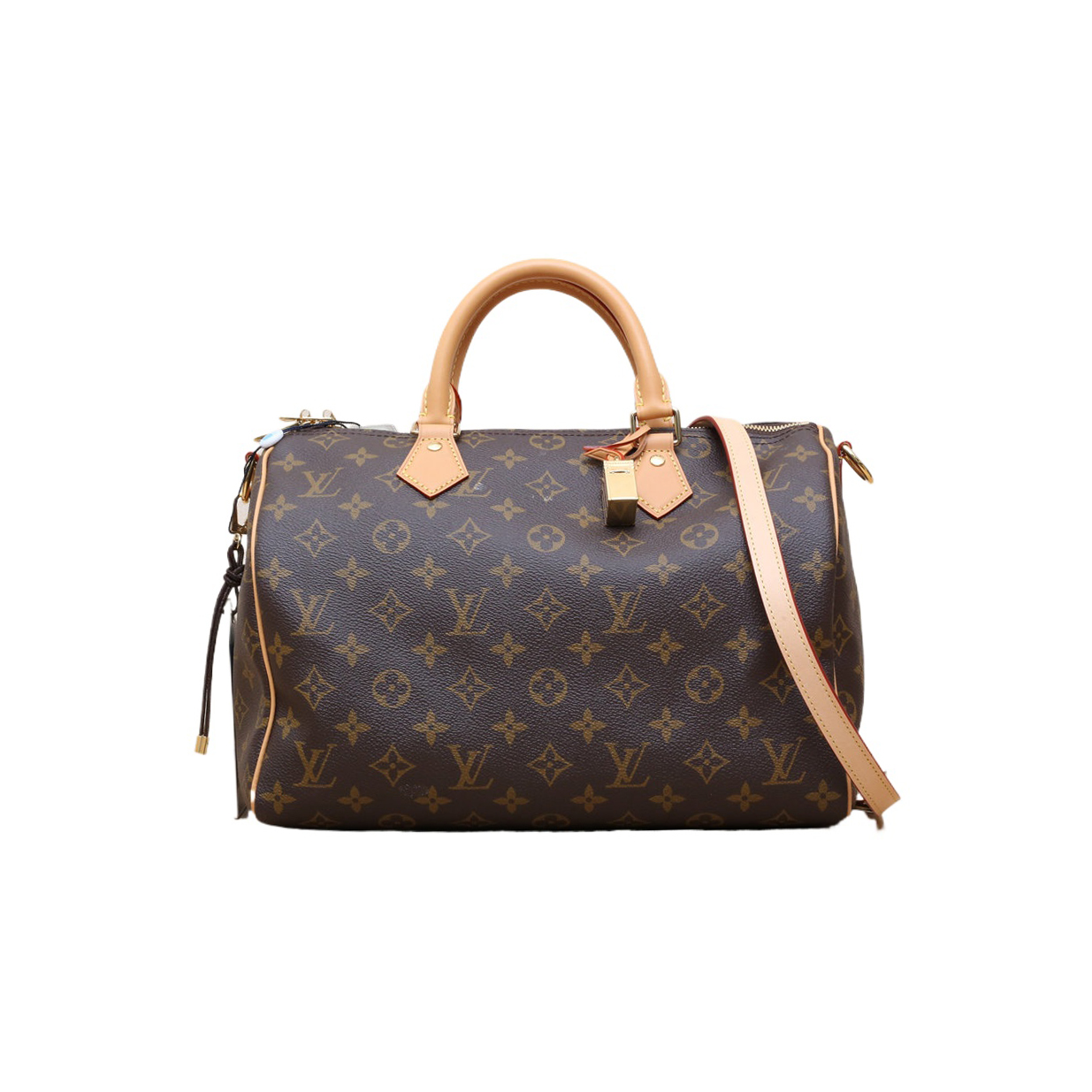 LOUIS VUITTON Speedy 30 Soft in PVC