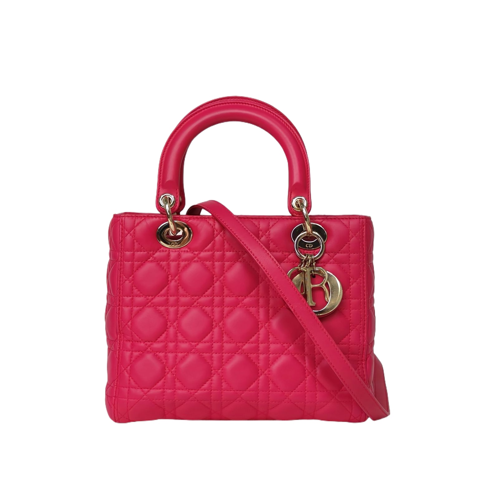 DIOR Lady Dior Medium 5-Grid in Leather