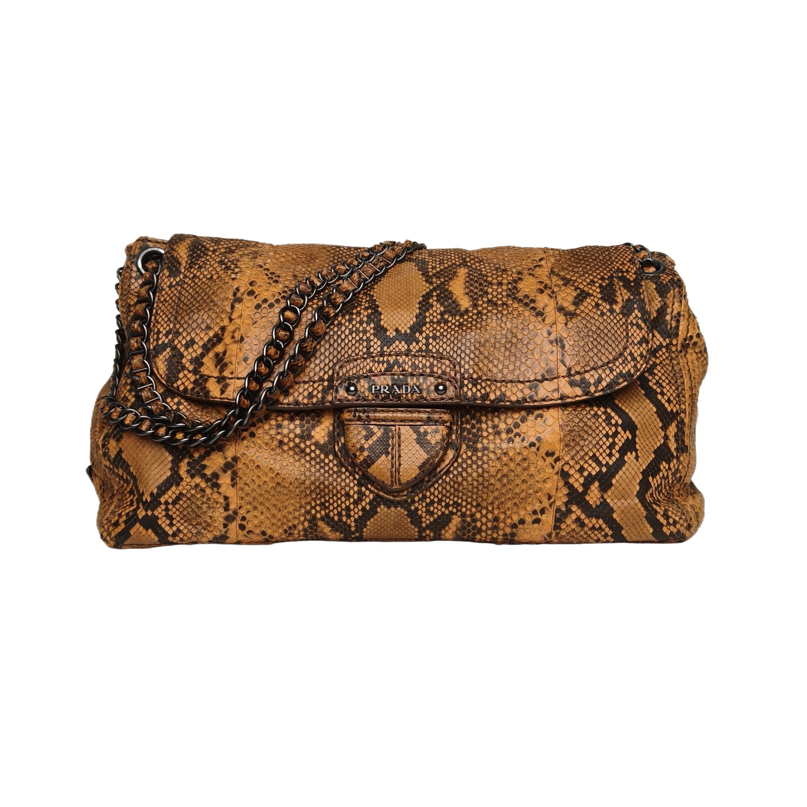 PRADA Snakeskin Chain Bag