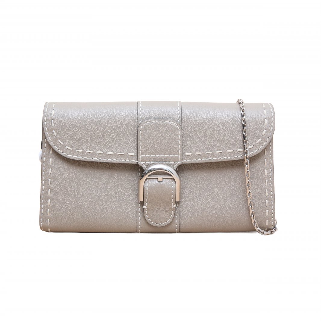 DELVAUX Brillant WOC in Leather