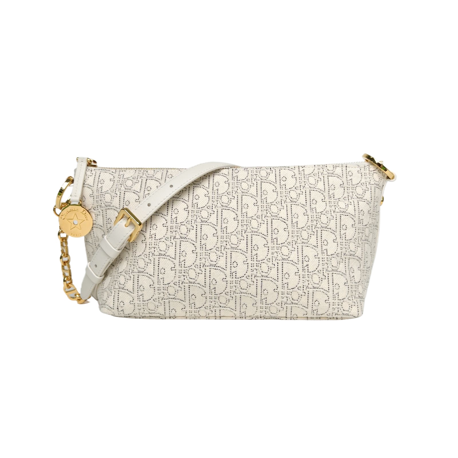 Dior Star Hobo White Oblique Canvas Gold Hardware