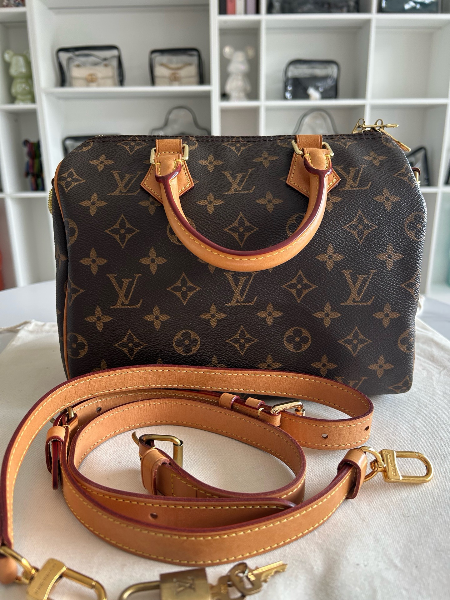 LOUIS VUITTON Speedy 25 Bandoulière Handbag